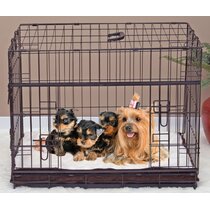 Dog crate small clearance size